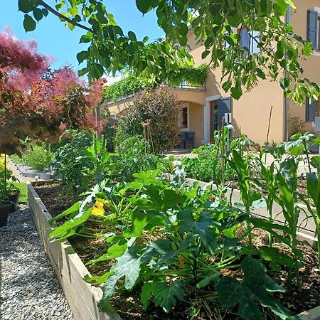 Appartement Entre Sisteron Et Gorges De La Meouge " Les Hauts De Toscane " Ribiers Exterior foto