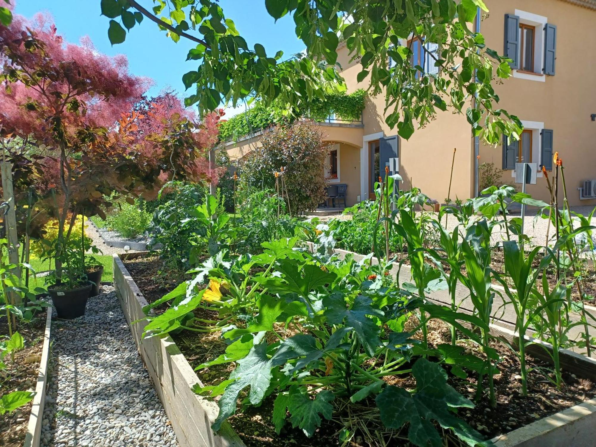 Appartement Entre Sisteron Et Gorges De La Meouge " Les Hauts De Toscane " Ribiers Exterior foto